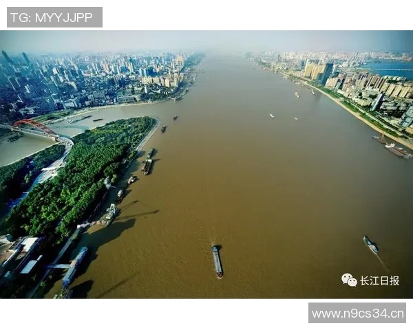 武汉乒乓球队整体压制现象解析与未来发展趋势探讨