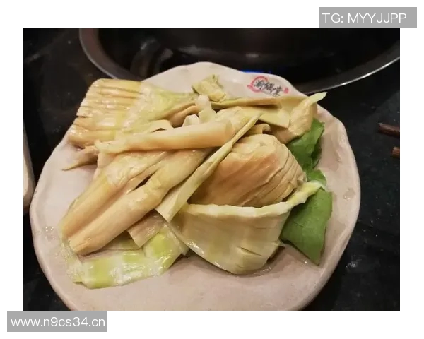 王静的篮球人生：从青涩少女到职业球员的深度对话与成长历程